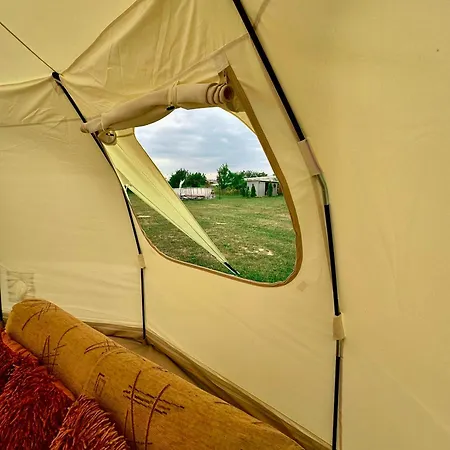 Camping La Foisor *